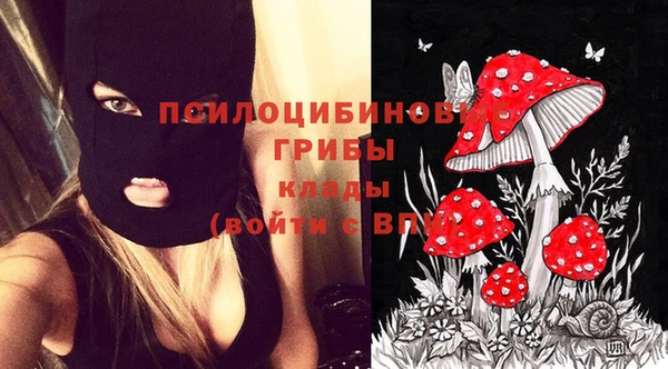 МДПВ Арсеньев