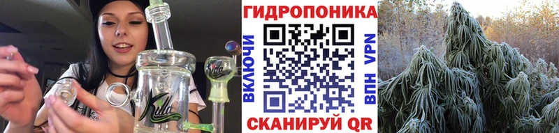 Каннабис планчик  Баксан 